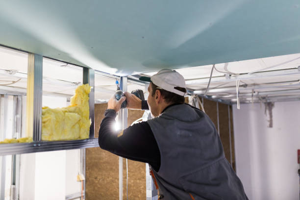 Best Insulation Maintenance and Repair in Dutch Island, GA